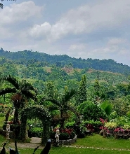 宿霧農場生活之旅