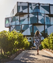 麥克拉倫谷高級全包式葡萄酒與啤酒探險