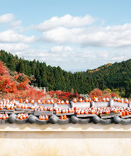 勝尾寺 x 嵐山竹林 x 東大寺&奈良公園一日遊