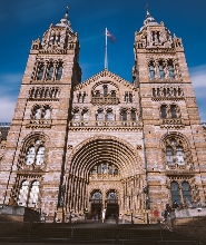 倫敦自然歷史博物館之旅