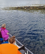 威廉堡體驗海豹島巡遊