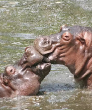 西海長崎生物公園門票