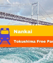 南海德島周遊券