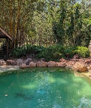 5小時熱帶花園私人導覽 & 觀光