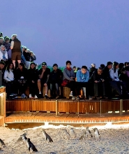 菲利普島全日私人企鵝歸巢之旅