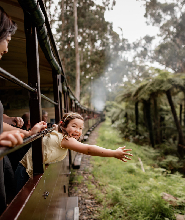 普芬比利蒸汽火車 & 企鵝歸巢之旅（含野生動物體驗）
