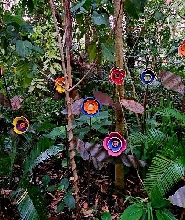 5小時熱帶花園之旅及觀光