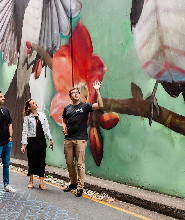 布裏斯班小酒吧和街頭藝術一日遊