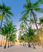 奧西尼卡邦勞度假村及南農場日間遊