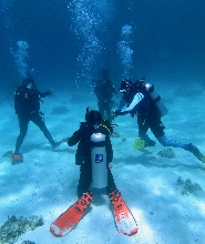 薄荷島PADI水肺複習課程體驗