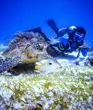 邦勞PADI高級開放水域潛水員體驗（PADI五星級潛水中心）