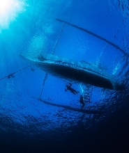 加利拉港PADI高級開放水域潛水體驗（PADI五星級CDC）