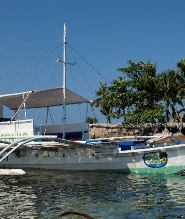 麥克坦島／希魯東根島休閒潛水體驗