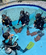 水肺奇觀初學者探索體驗（PADI五星級潛水中心）
