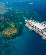 凱恩斯出發| 大堡礁浮橋船之旅