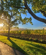 伯斯天鵝谷VIP酒莊之旅 - 保證小團旅遊