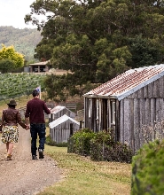 霍巴特出發| 休恩河谷豐收之旅