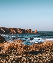 菲利普島健行及企鵝歸巢一日遊