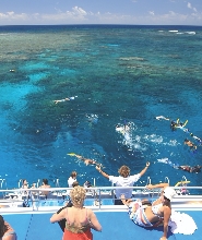 道格拉斯港出發：Low Isles浮潛體驗