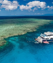 道格拉斯港、凱恩斯或北部海灘出發阿金考特礁浮潛體驗