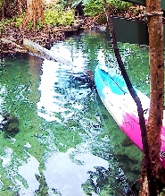 喀比隱秘湖泊獨木舟及越野車探險套票