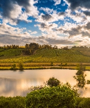 塔斯馬尼亞 Josef Chromy Wines 氣泡酒之旅