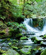 菲爾德山、邦orong野生動物保護區和裏奇蒙之旅