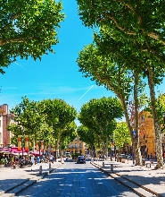 艾克斯普羅旺斯私人導覽：米拉波大道與舊城區精華