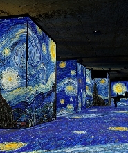 雷博 & 聖雷米私人導覽：飽覽山頂風光 & 梵谷藝術之旅