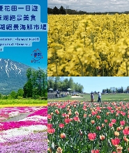 北海道初夏花田：鬱金香+芝櫻/油菜花+洞爺/支笏湖絕景美食一日遊