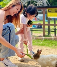 香港元朗小白兔農莊Bunny Wonderland