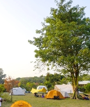 香港森之谷汽車露營