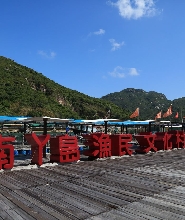 香港鴨巴甸半日文化遊船