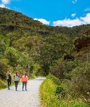 阿得雷德莫裏爾塔荒野與野生動物健行