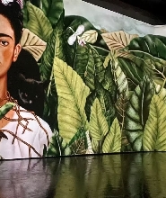 阿姆斯特丹 Frida Kahlo 畫展門票 & VR 體驗