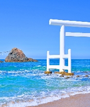 【福岡出發】白絲瀑布&宮地獄神社&一蘭之森&櫻井二見浦夫婦巖&天使之翼&椰子樹鞦韆一日遊