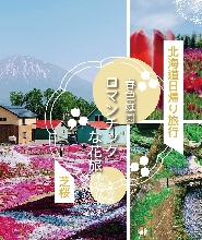 【札幌出發】北海道芝櫻&鬱金香賞花一日遊