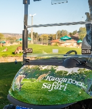 天鵝谷野生袋鼠邂逅 & 迷你高爾夫之旅