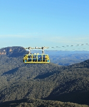 藍山 & 悉尼動物園小團遊