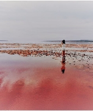 2天粉紅湖和卡爾巴裏導覽遊（含可選活動）