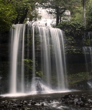 菲爾德山、野生動物、威靈頓山一日遊