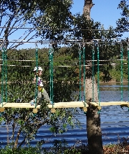 臥龍崗諾拉樹頂繩索冒險