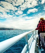 科爾斯灣至酒杯灣觀光遊船