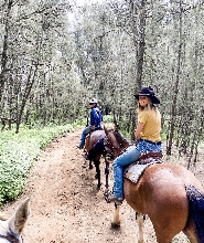 獵人谷叢林騎馬體驗