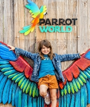 克雷西拉沙佩勒鸚鵡世界門票