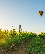 馬奇日出熱氣球飛行體驗