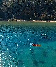 卡倫杜拉保護區玻璃底皮劃艇之旅
