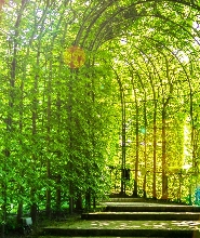 愛丁堡出發| 聖島、阿尼克城堡和諾森伯蘭之旅