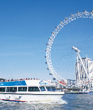 倫敦 30 大景點半日遊（大型團體）