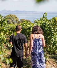 墨爾本近郊美食美酒一日遊（墨爾本出發）